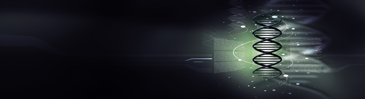 Bioinformatics