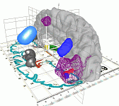 Neuroinformatics